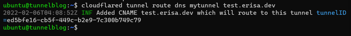 The command "cloudflared tunnel route dns mytunne test.erisa.dev" being ran, with the output stating "INF Added CNAME test.erisa.dev. which will route to this tunnel"