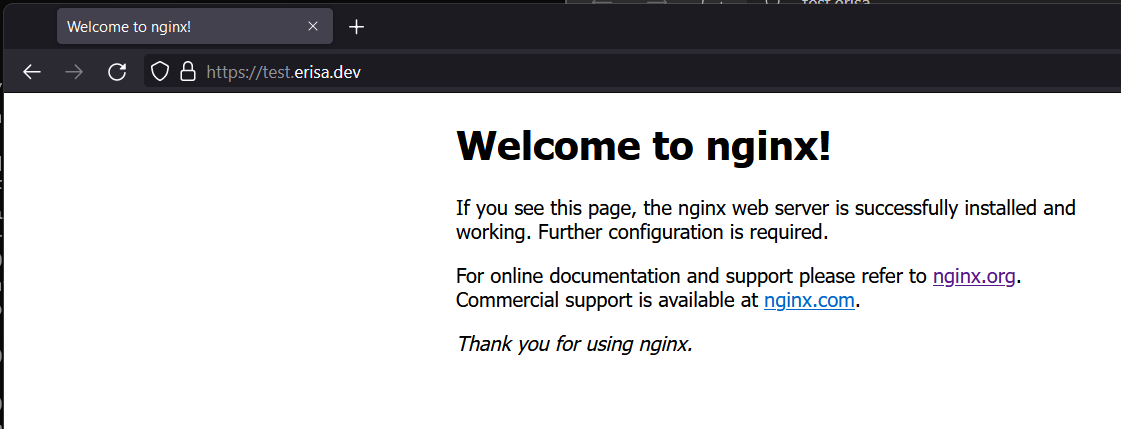 The page https://erisa.dev showing "Welcome to nginx!", indicating a successful tunnel setup.